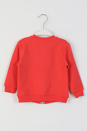 İSOB Kedi Desenli Kız Çocuk Hırka 9-36 Ay 20702