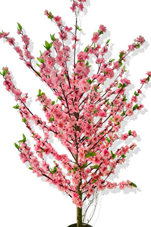 KİRAZ ÇİÇEK PEMBE BAHAR DALI YEŞİL DETAYLI 180 CM 25X25 GALVANİZ SAKSI