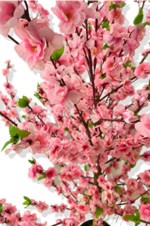 KİRAZ ÇİÇEK PEMBE BAHAR DALI YEŞİL DETAYLI 180 CM 25X25 GALVANİZ SAKSI