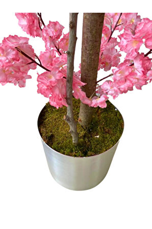 Kırık Pembe Bahar Dalı 160 Cm 25x25 Metal Saksı