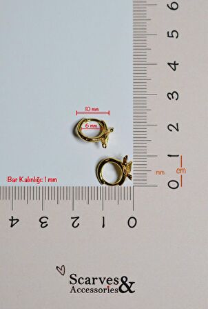 Rodyum Helix Piercing Kıkırdak Küpesi Kırlangıç