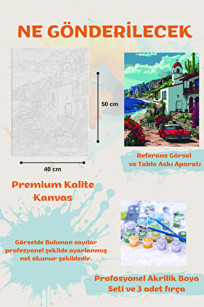 Sayılarla Boyama Çerçeveli Hobi Seti Numaralı Tuval Fırça Boya Dahil Kasnaklı 40X50 Cm