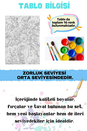 Sayılarla Boyama Çerçeveli Hobi Seti Numaralı Tuval Fırça Boya Dahil Kasnaklı KIRMIZI VAZO 40X50 Cm