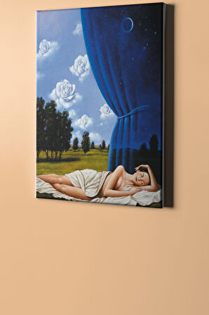 Sayılarla Boyama Seti Kasnaklı Benim Rüyam 60 X 75 Cm