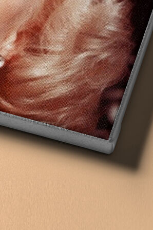 Sayılarla Boyama Seti Kasnaklı Monreo Gülüşü 60 X 75 Cm