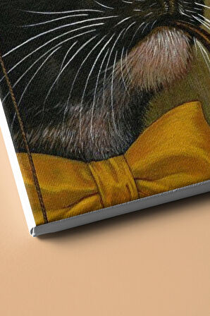 Sayılarla Boyama Seti Kasnaklı Gözlüklü Kedi 50 X 65 Cm