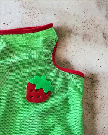 Pink Strawberry Atlet Köpek Kıyafeti  Köpek Elbisesi