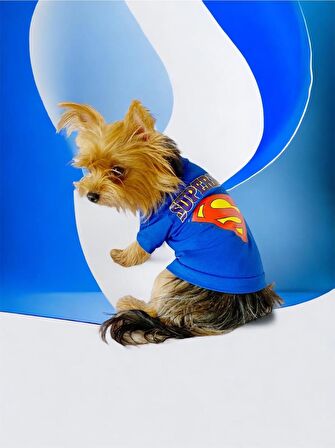 Superman Köpek Tişört Köpek Kıyafeti