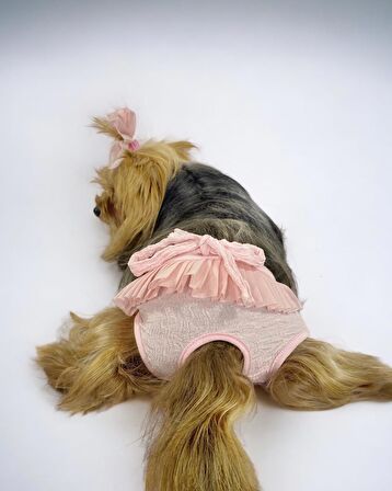 Rosie Rose Kemique's Secret Köpek İç Çamaşırı Regl Külot Don