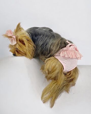 Rosie Rose Kemique's Secret Köpek İç Çamaşırı Regl Külot Don