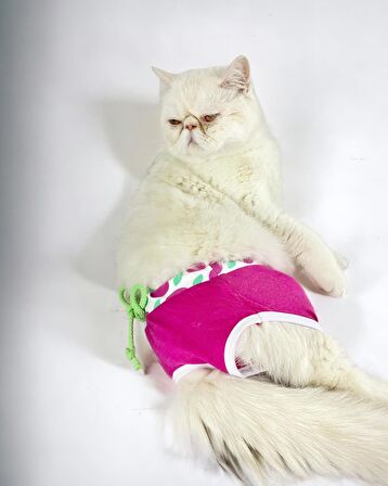 Fruit Party Kemique's Secret Kedi İç Çamaşırı Regl Külot Don