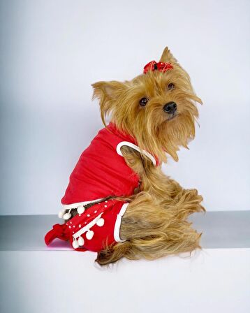Frilly Pop Tişört ve İç Çamaşırı Set Köpek Kıyafeti Köpek Kostümü