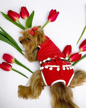 Frilly Pop Tişört ve İç Çamaşırı Set Köpek Kıyafeti Köpek Kostümü