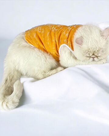 Orange Stripe Atlet Kedi Kıyafeti Kedi Elbisesi