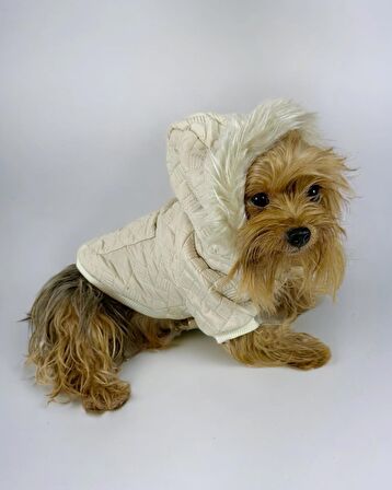 Cream Comfy Köpek Montu, Köpek Ceketi, Köpek Dış Giyim