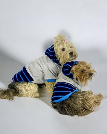 Blue Line Kapşonlu Sweatshirt Köpek Kıyafeti Köpek Elbisesi 