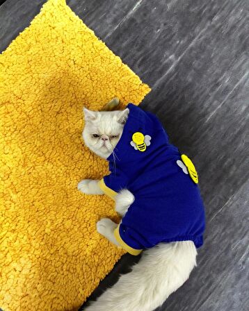 Navy Bee Kedi Tulumu Kedi Kıyafeti