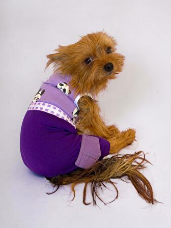 Chique Purple Duo Panda Tulum Köpek Kıyafeti