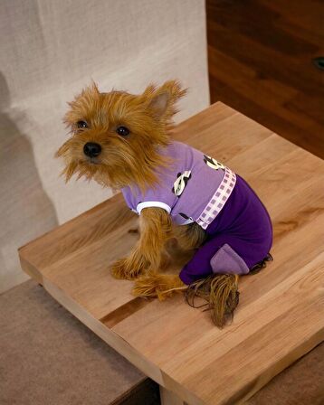 Chique Purple Duo Panda Tulum Köpek Kıyafeti
