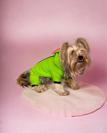 Shipy Pink Stripe Kulaklı Duo Köpek Tulumu Kıyafeti
