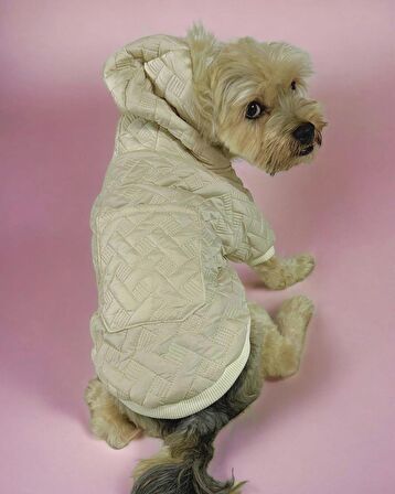 Cream Comfie Köpek Montu, Köpek Ceketi, Köpek Dış Giyim