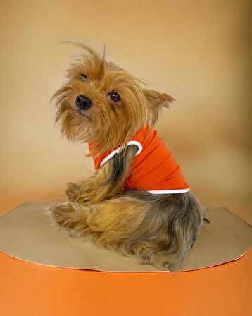 Frilly Pop Atlet Köpek Kıyafeti  Köpek Elbisesi