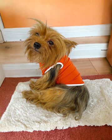 Frilly Pop Atlet Köpek Kıyafeti  Köpek Elbisesi