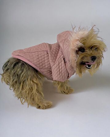 Pink Comfy Köpek Montu, Köpek Ceketi, Köpek Dış Giyim