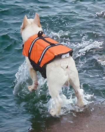 Köpek Can Yeleği, Köpekler için Reflektörlü Yüzme Yardımcısı