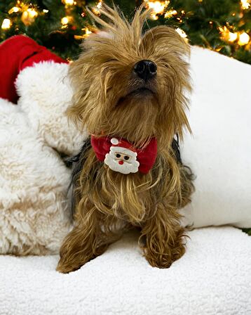 Santa Neo Köpek Papyonu Kurdela Tasma Yılabşı Noel