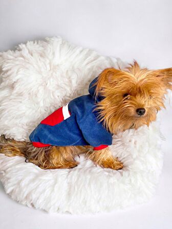 Neo Tommie Kapşonlu Köpek Sweatshirt Köpek Kıyafeti Köpek Elbisesi