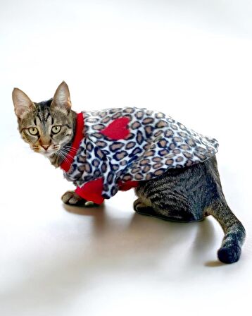 Animal Leo Print Sweat Kedi Süeteri Kedi Kıyafeti 