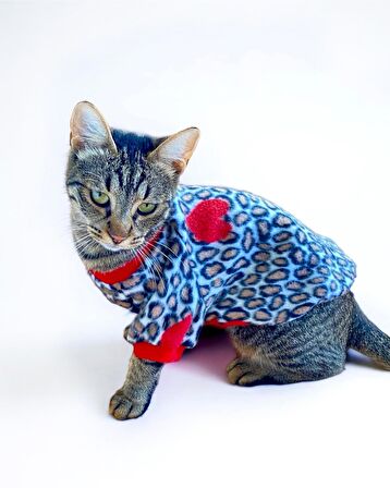 Animal Leo Print Sweat Kedi Süeteri Kedi Kıyafeti 