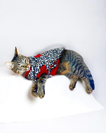 Animal Leo Print Sweat Kedi Süeteri Kedi Kıyafeti 