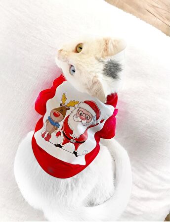 Santa and Friend Rudolph Kedi Tişörtü Yılbaşı Noel Christmas Kedi Elbisesi