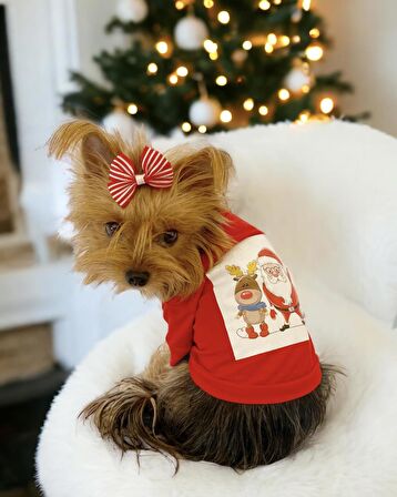 Santa and Friend Rudolph  Köpek Tişörtü Yılbaşı Noel Christmas Köpek Elbisesi