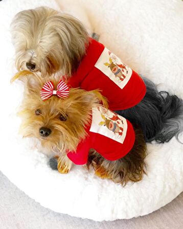 Santa and Friend Rudolph  Köpek Tişörtü Yılbaşı Noel Christmas Köpek Elbisesi