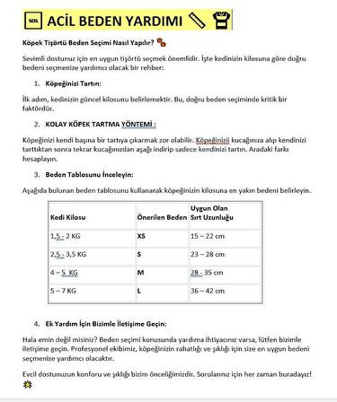 Santa and Friend Rudolph  Köpek Tişörtü Yılbaşı Noel Christmas Köpek Elbisesi