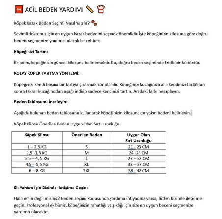 Kitty Santa Köpek Kazağı, Noel , Yılbaşı Elbisesi Kıyafeti