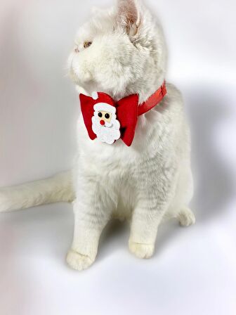 Santa Neo Kedi Papyonu Kurdela Tasma Yılbaşı Noel