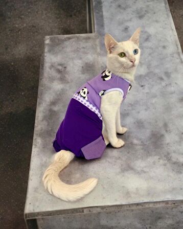 Chique Panda Kedi Tulumu Kedi Kıyafeti Kedi Elbisesi
