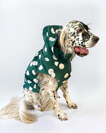 Mega Dots Green Köpek Kapşonlu Yağmurluk Orta ve Büyük Irklar İçin