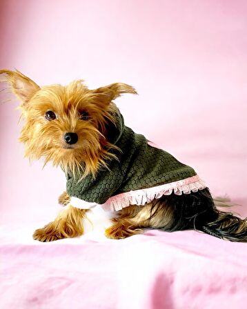 Greenco Bunny Kapşonlu Sweat Elbise by Kemique Köpek Kazağı 