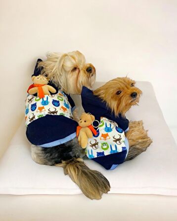 Teddy Roo Kapşonlu Köpek Sweatshirt Köpek Elbisesi Köpek Kıyafeti