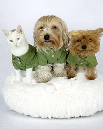 Grass Green Köpek Gömleği Köpek Kıyafeti Köpek Elbisesi
