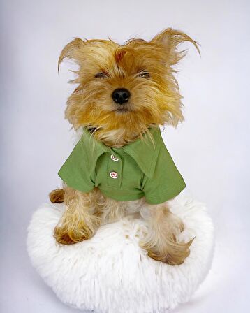 Grass Green Köpek Gömleği Köpek Kıyafeti Köpek Elbisesi