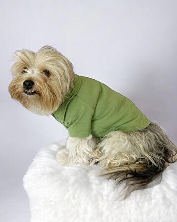 Grass Green Köpek Gömleği Köpek Kıyafeti Köpek Elbisesi