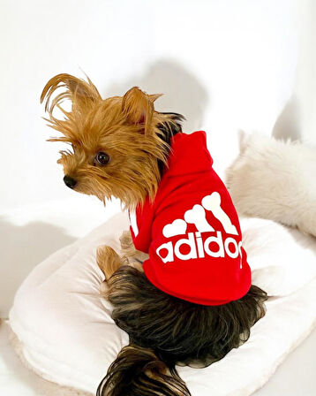 Red Adidog Kapşonlu Sweatshirt Köpek Kazağı