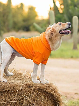 Orange Kapşonlu Sweatshirt, Orta ve Büyük Irklar İçin