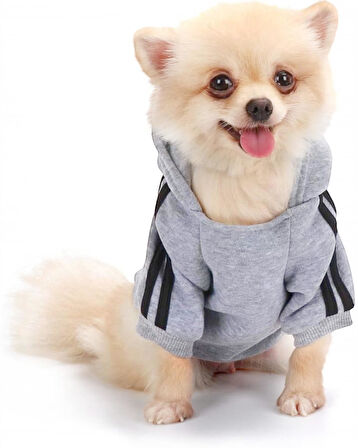 Gri Adidog Kapşonlu Sweatshirt Köpek Kazağı